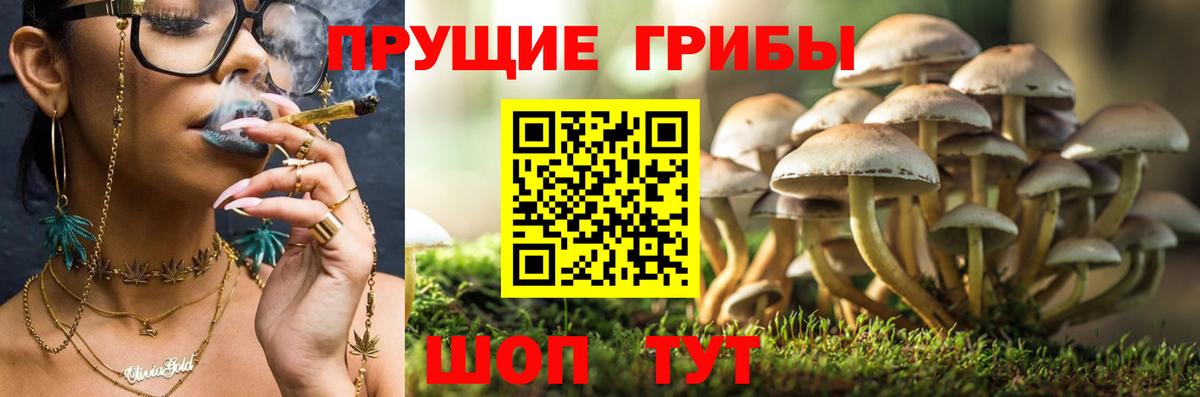 Галлюциногенные грибы прущие грибы Щёлково